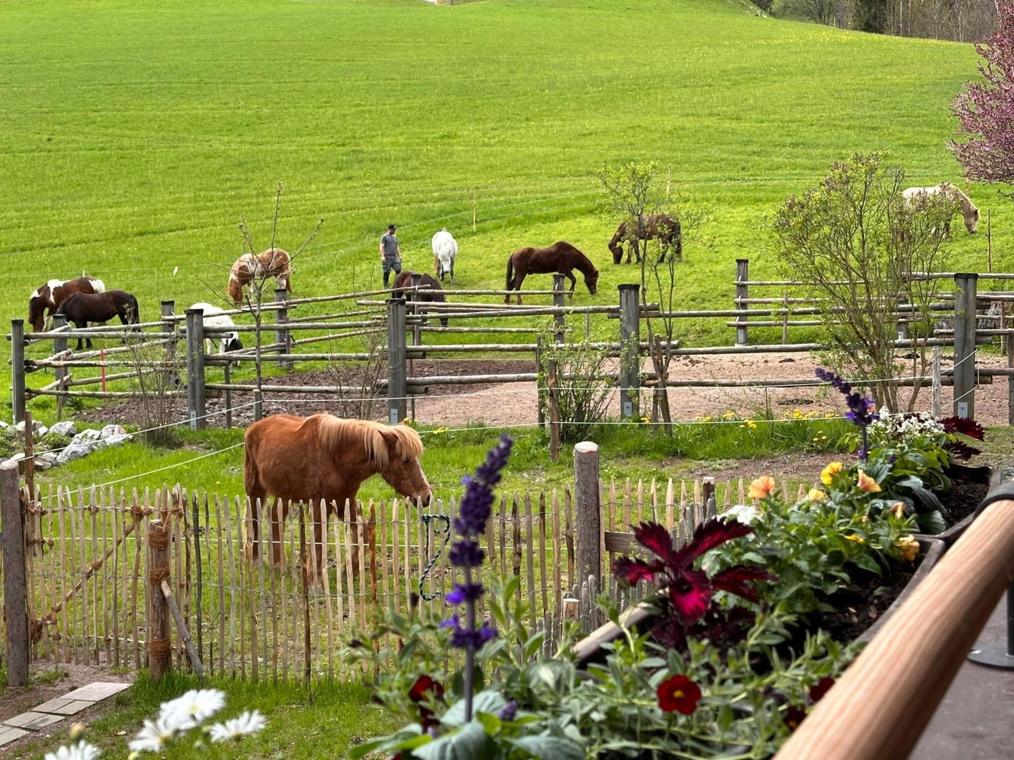 Obinghof Fieberbrunn Exterior foto