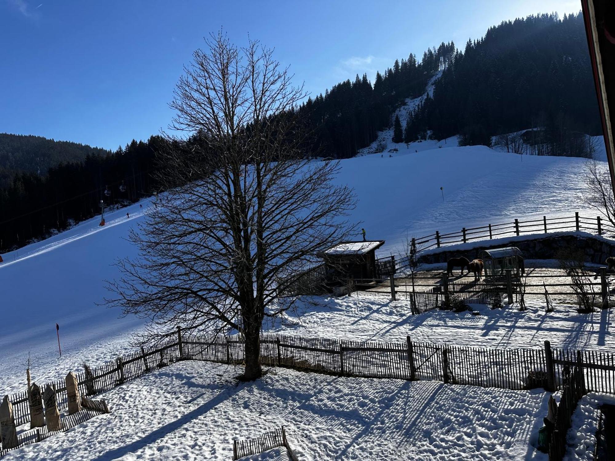 Obinghof Fieberbrunn Exterior foto